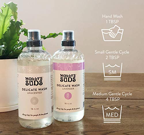 Molly's Suds Delicate Wash - Gentle Deep Clean, Plant-Derived Ingredients, Lavender Scent - 16 fl oz