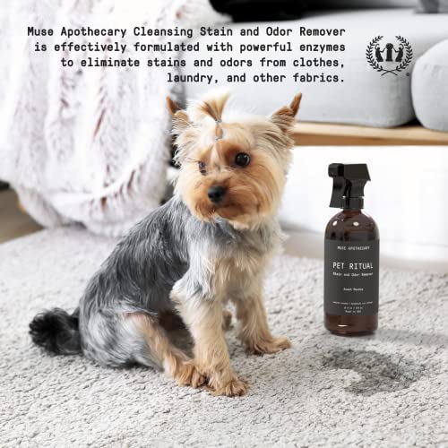 Muse Apothecary Carpet & Upholstery Cleaner - Enzyme Stain & Odor Remover with Essential Oils - 16oz