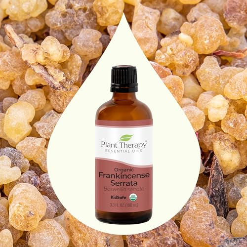 Plant Therapy Frankincense Serrata Essential Oil - USDA Organic, Pure Aromatherapy - 100 mL