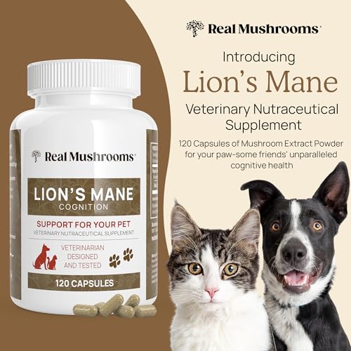 Real Mushrooms Lion's Mane Supplement - Cognitive Boost, Immunity Support - 300ct & 120ct