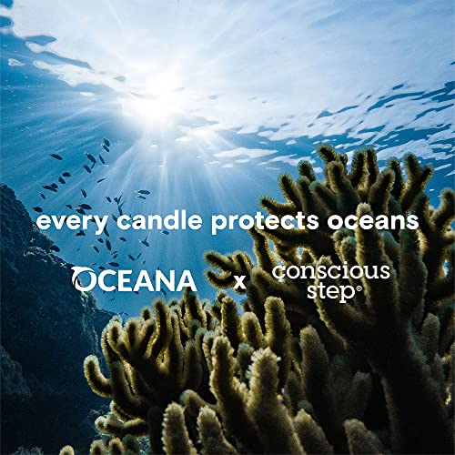 Conscious Step Handmade Beeswax Candle - Long Lasting, Non-Toxic, Ocean Protection - 9oz