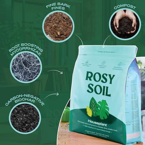 Rosy Soil Succulent & Cactus Potting Mix - Promotes Healthy Root Growth, 8 Quarts Total