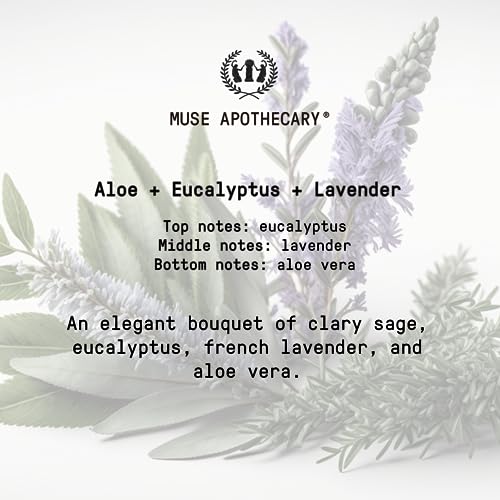 Muse Apothecary Hand Ritual - Nourishing Aromatherapy Hand Soap with Aloe & Lavender - 16oz, 2 Pack