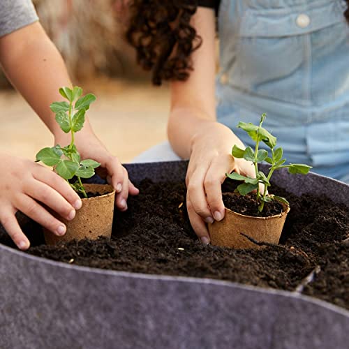 Back to the Roots Organic Fertilizer - Nutrient-Rich for Herbs, Veggies & Flowers - 12 Quarts