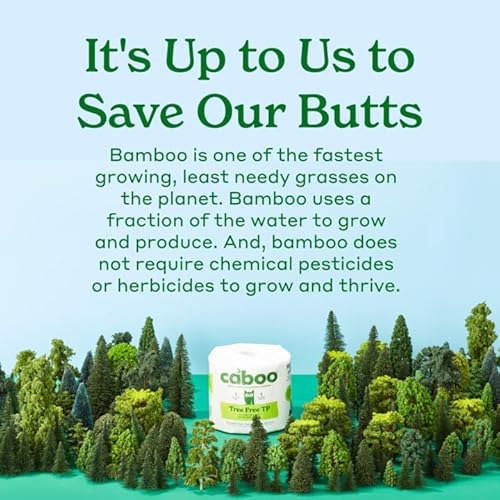 Caboo Tree Free Paper Towels - Strong, Absorbent, Biodegradable, Hypoallergenic - 6 Rolls