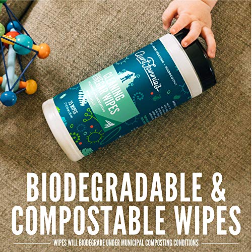 Aunt Fannie's Bathroom Cleaning Set - Plant-Based Spray & Biodegradable Wipes - Eucalyptus, 6 Pack