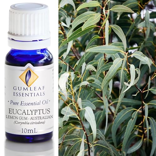 Gumleaf Essentials Eucalyptus Lemon Gum Essential Oil - Refreshing, 100% Pure & Natural - 10ml