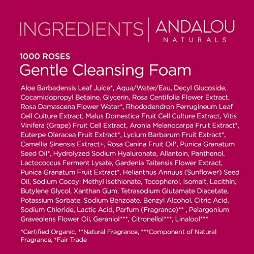 Andalou Naturals Gentle Cleansing Foam - Hydrating Rose-Biotic Blend, Soothes & Protects - 6.7oz