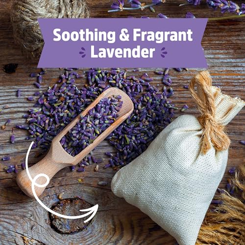 Back to the Roots Lavender Grow Kit - Organic Seeds, Easy Indoor Gardening - Mason Jar Set