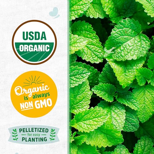 Back to the Roots Mint 'Peppermint' Seeds - Organic & Non-GMO Flavor for Culinary Use - 125mg