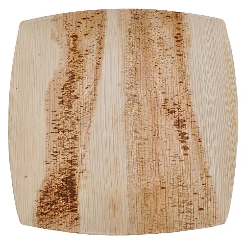 ATMOS GREEN 10.5" Palm Leaf Dinner Plates - 100% Biodegradable, Heavy Duty - 25 Pack