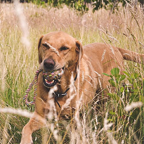 Beco Natural Hemp Rope Ball Dog Toy - Durable, Cleans Teeth, Loop Handle, Large