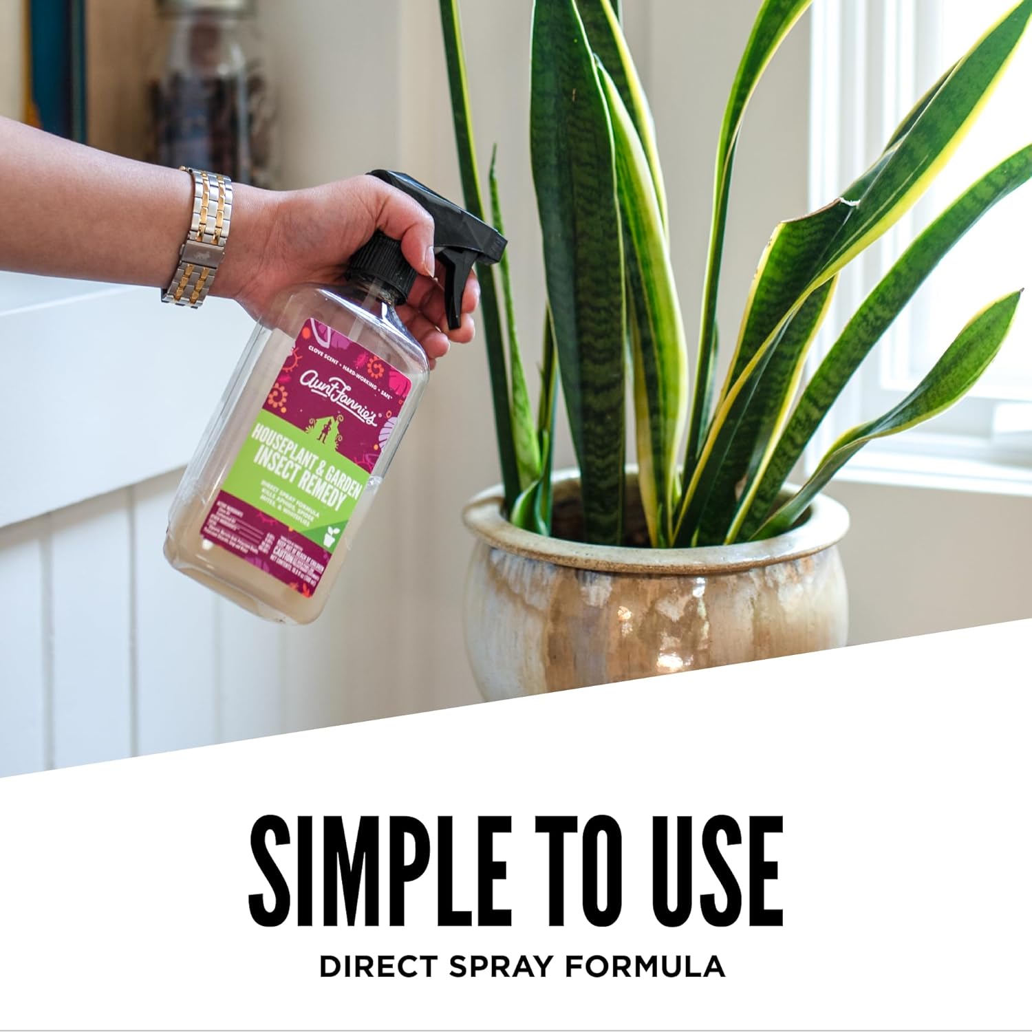 indoor insect killer for plants Aunt Fannie's Insect Spray