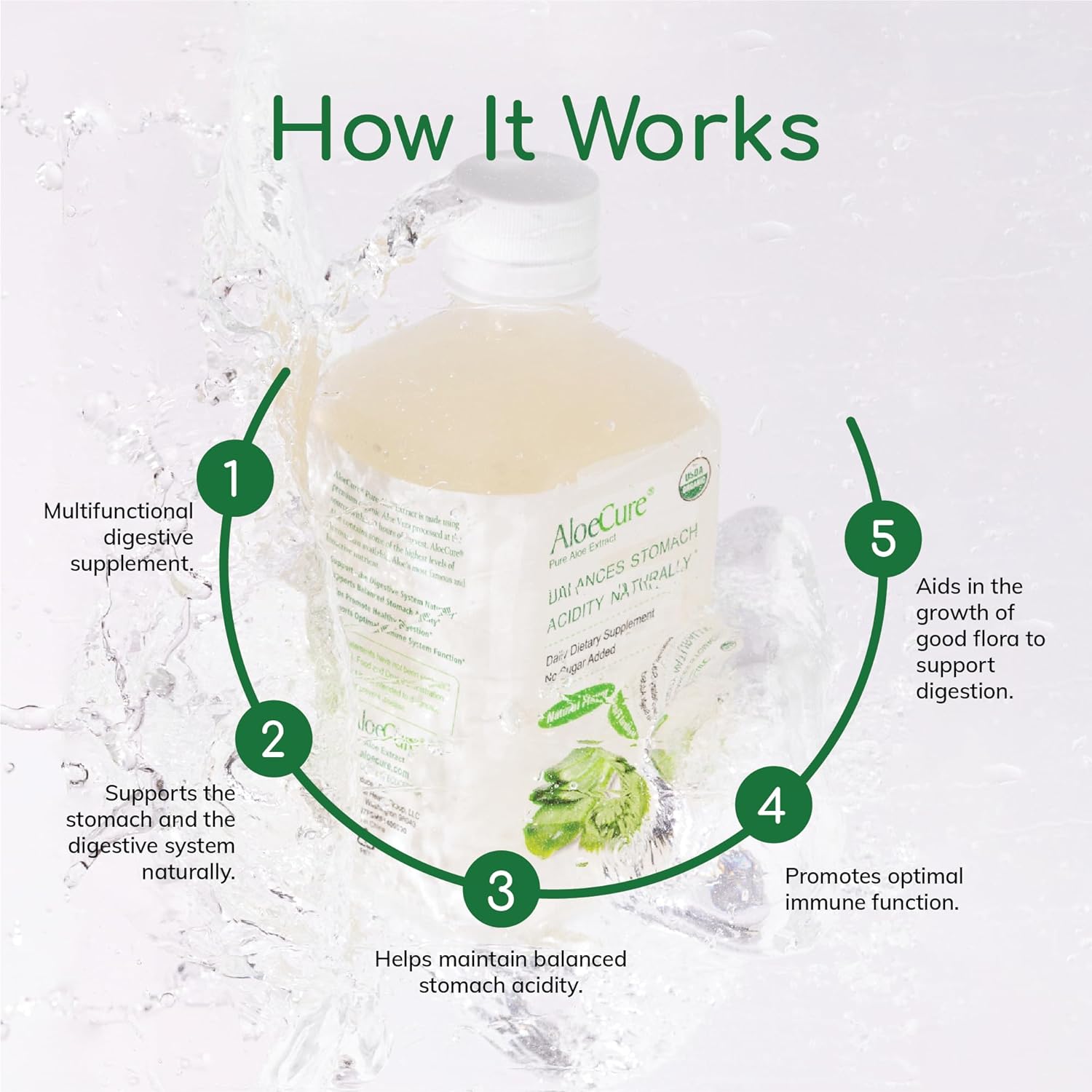 Aloe Vera Juice | USDA Organic, Supports Digestion & Immune System, 6x500ml