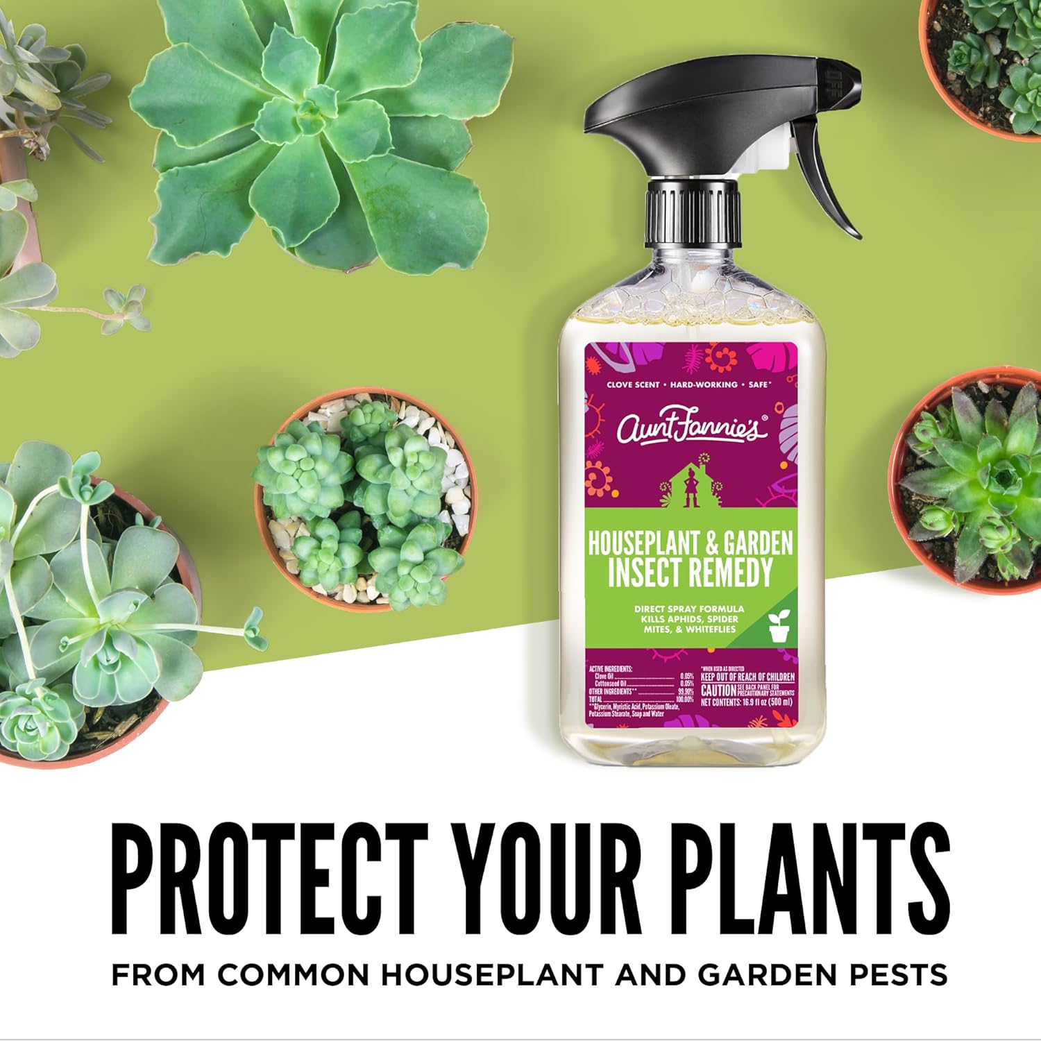 Aunt Fannie’s Insect Spray - Protects Indoor & Outdoor Plants, Powered by Essential Oils - 16.9oz