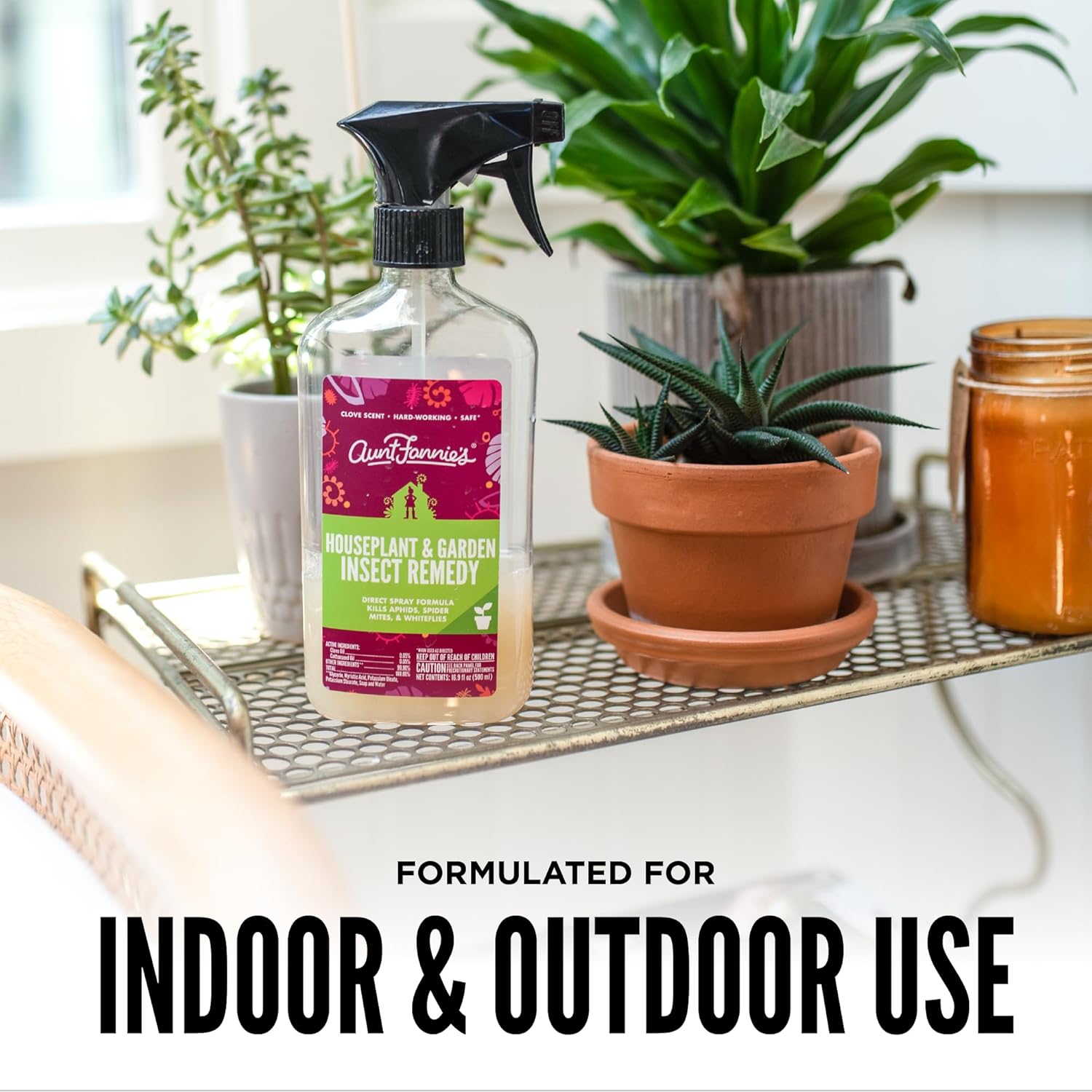essential oils for indoor plant bugs Aunt Fannie's Insect Spray