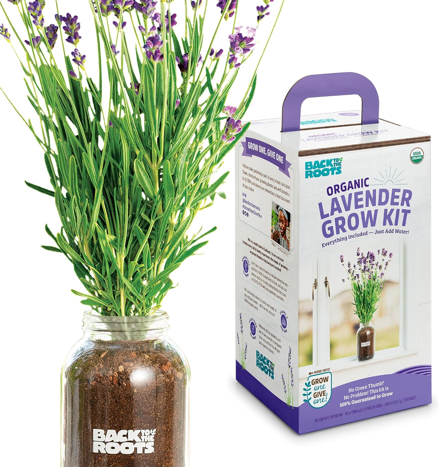 Back to the Roots Lavender Grow Kit - Organic Seeds, Easy Indoor Gardening - Mason Jar