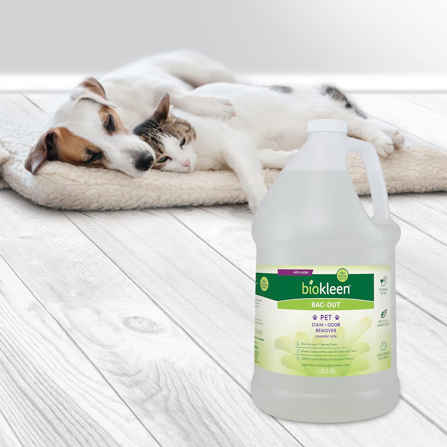 Biokleen Pet Stain & Odor Remover - Enzymatic Formula, Natural Ingredients - 1 Gallon