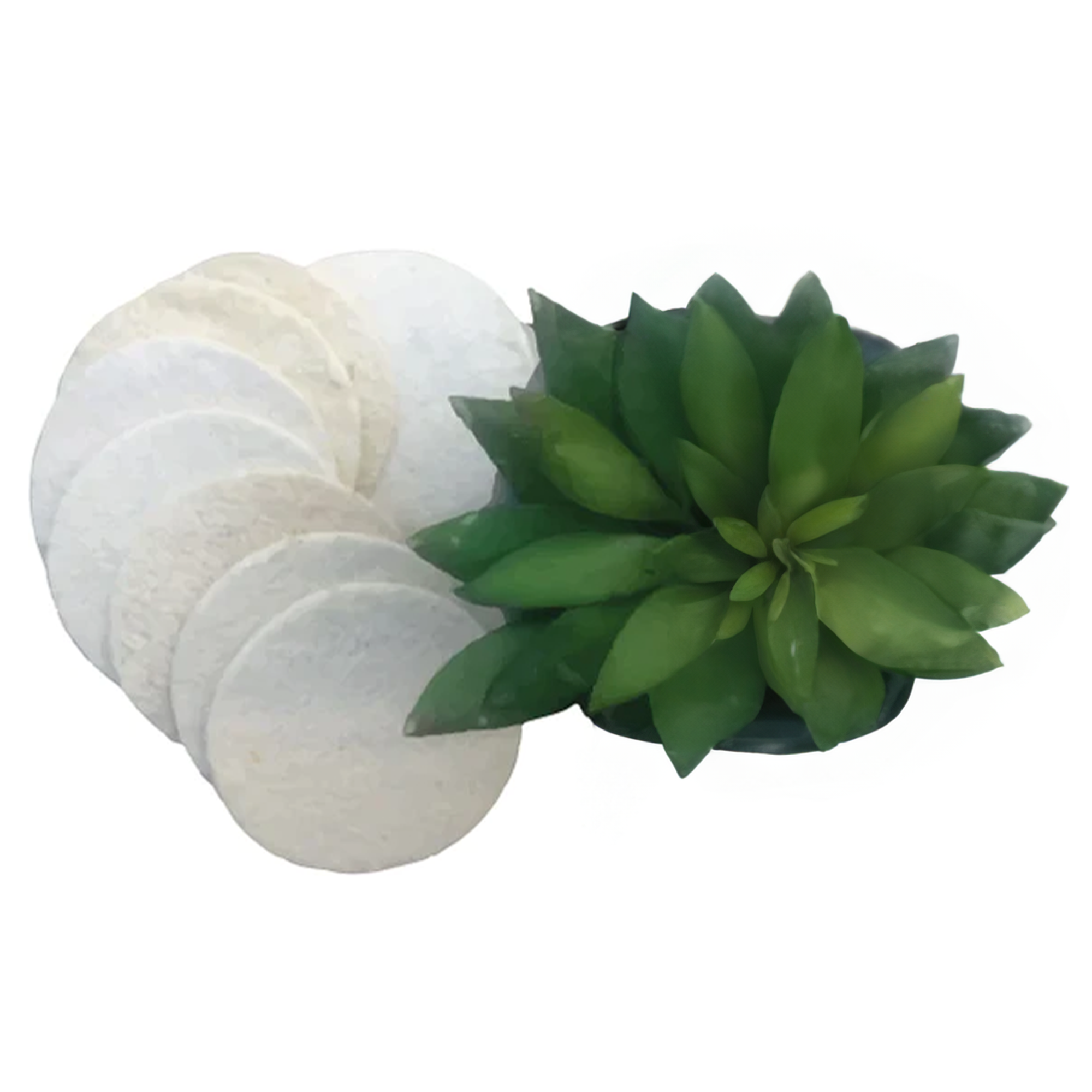 Natural Loofah Sponge | 5 Pieces Set, 3" Diameter