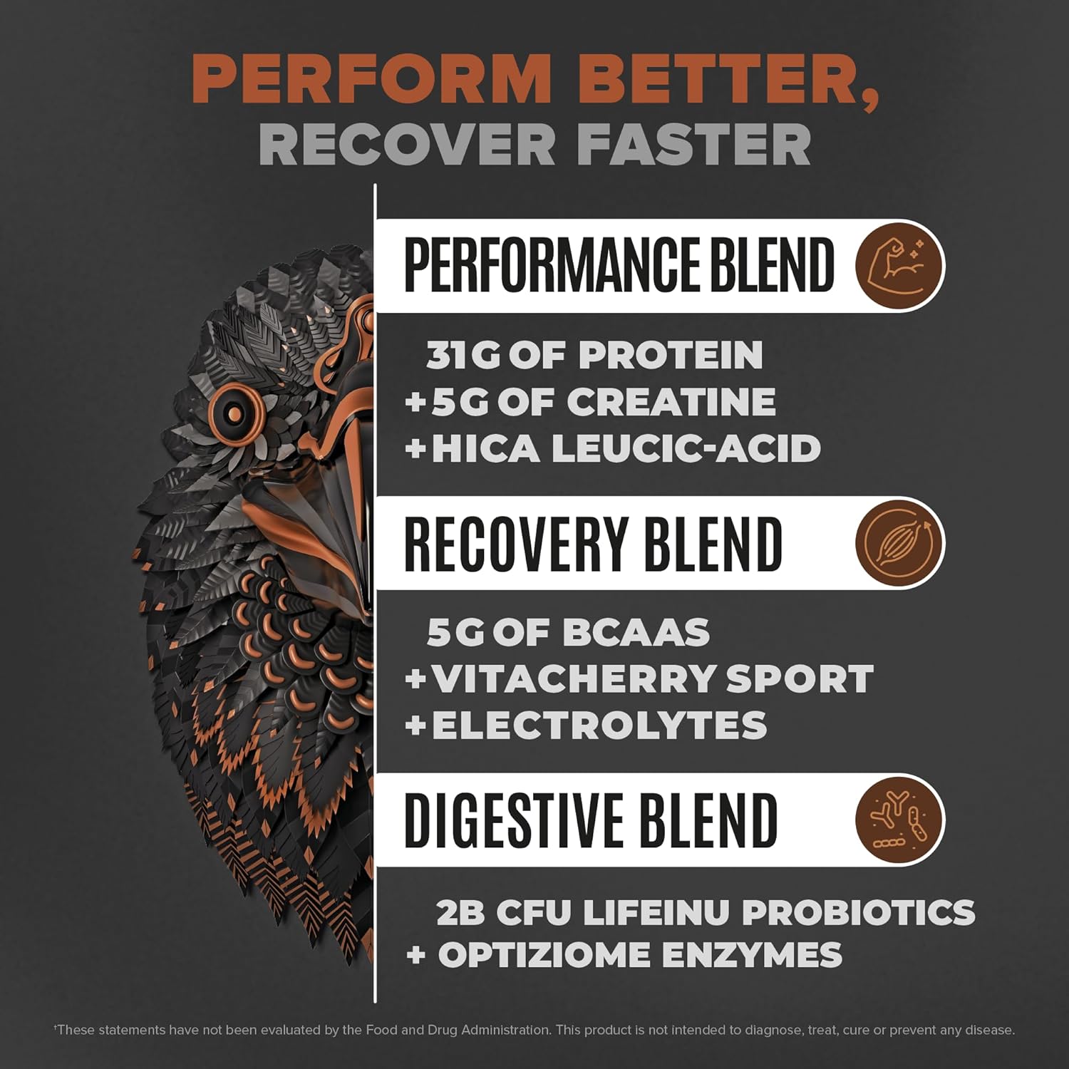 Birdman Falcon Performance Vegan Protein Powder - 31g Protein, Probiotics, Low Carb - 19 Servings