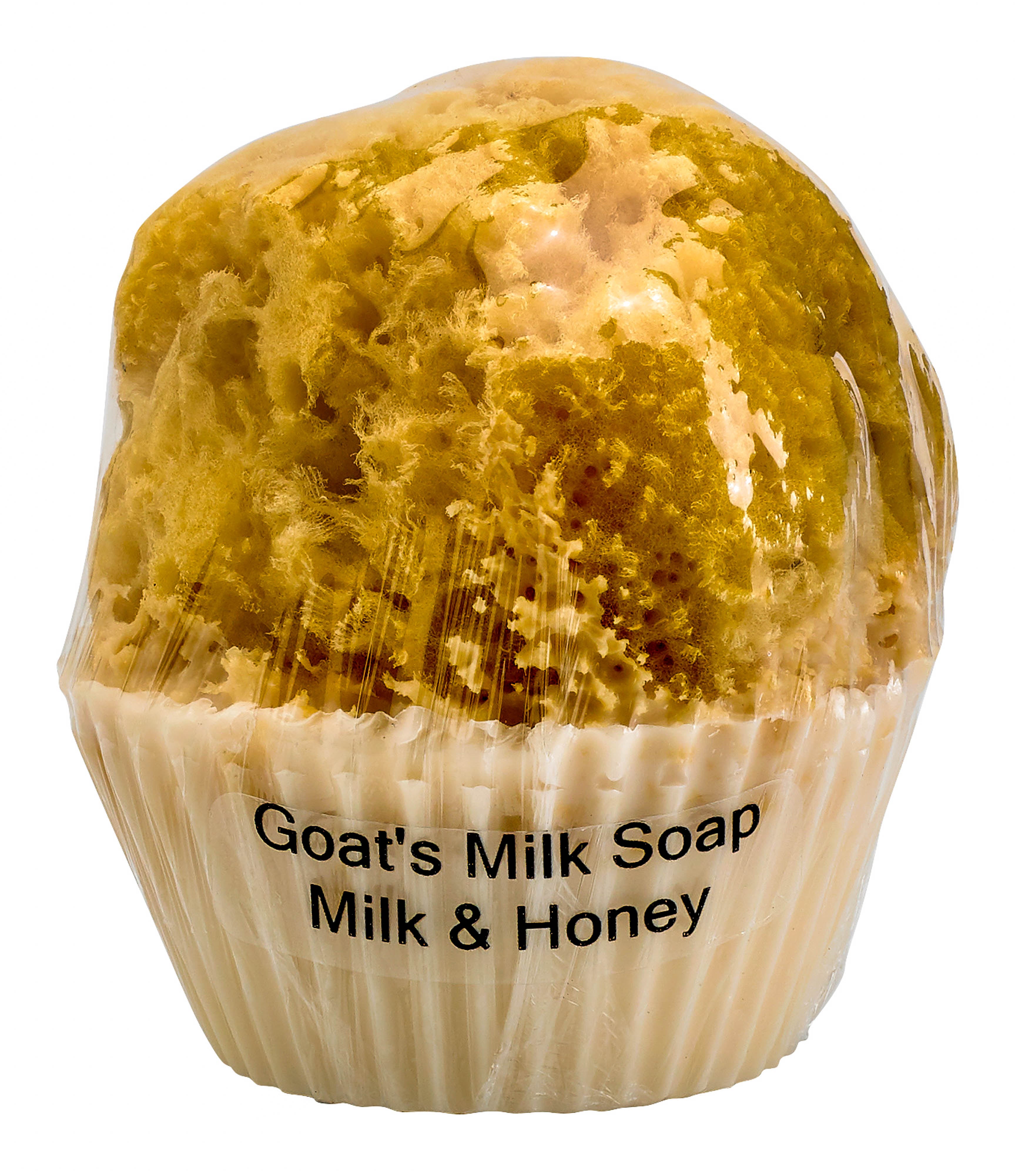 Goat's Milk and Olive Oil Cupcake Soap w/embedded Sea Sponge