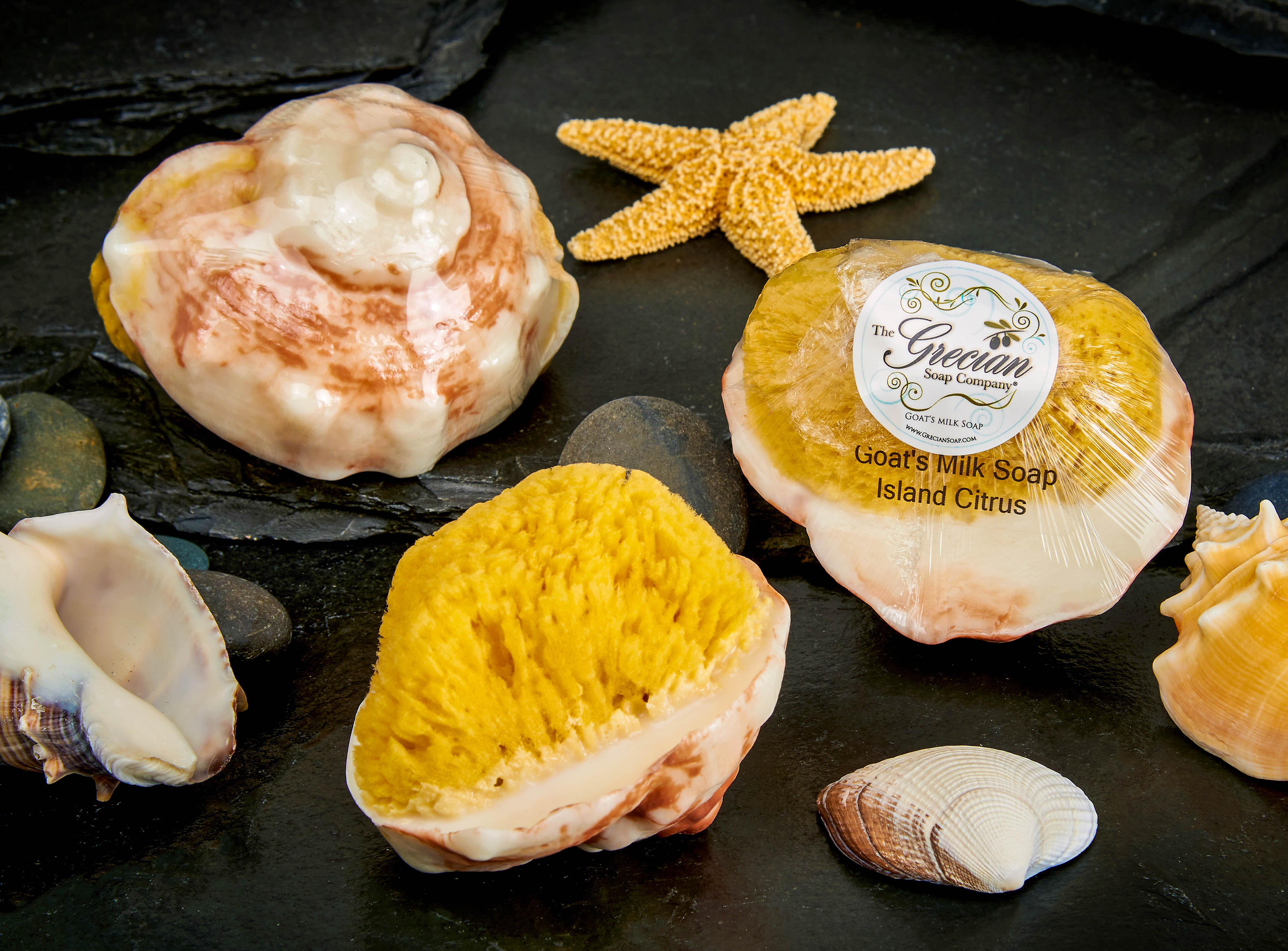 Conch Shell Soap w/embedded Natural Sea Sponge