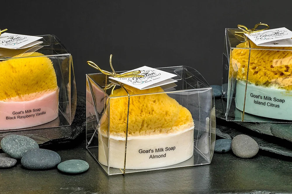 Goat's Milk & Olive Oil Soap with Natural Sea Sponge