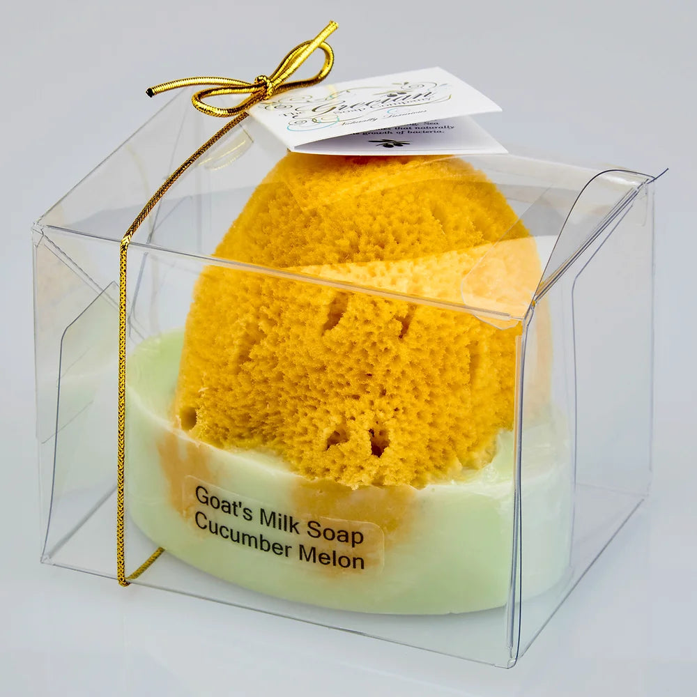 Goat's Milk & Olive Oil Soap with Natural Sea Sponge