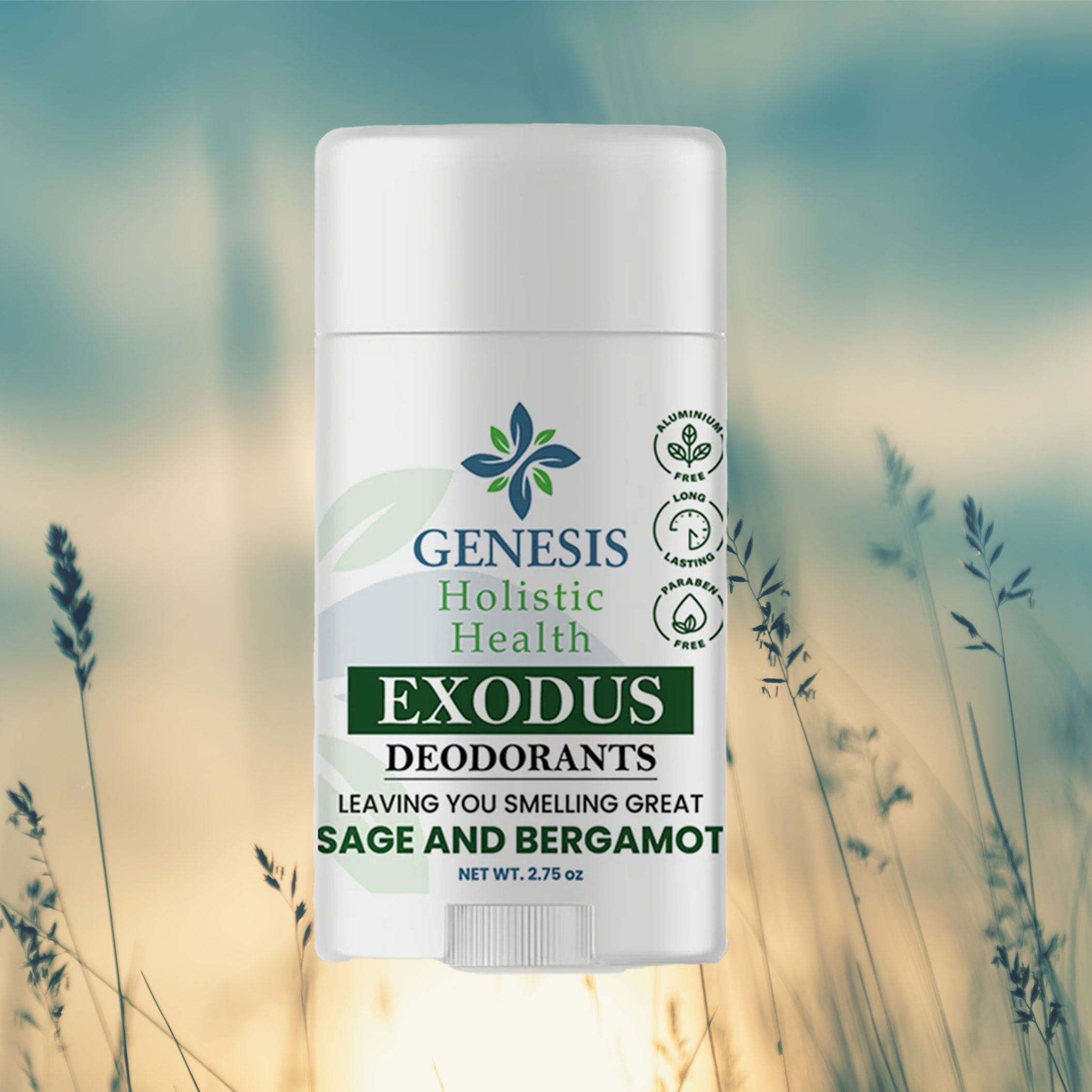 Deodorant | Fresh Scent, Long Lasting Protection