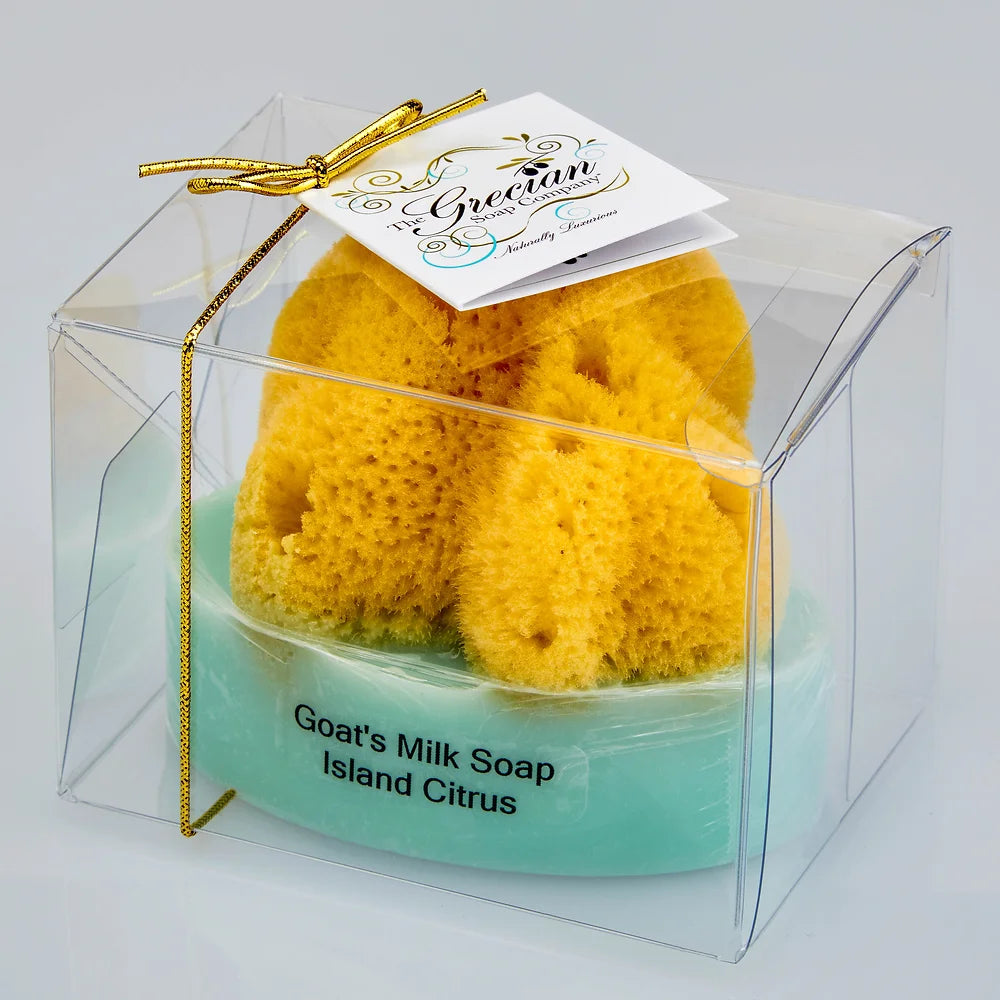 Goat's Milk & Olive Oil Soap with Natural Sea Sponge