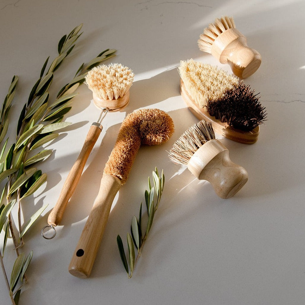 Zero Waste Dish Brush Kit