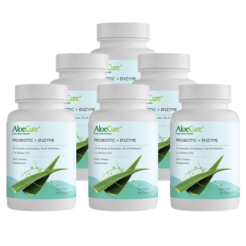 Pre+Probiotic & Digestive Enzyme Blend