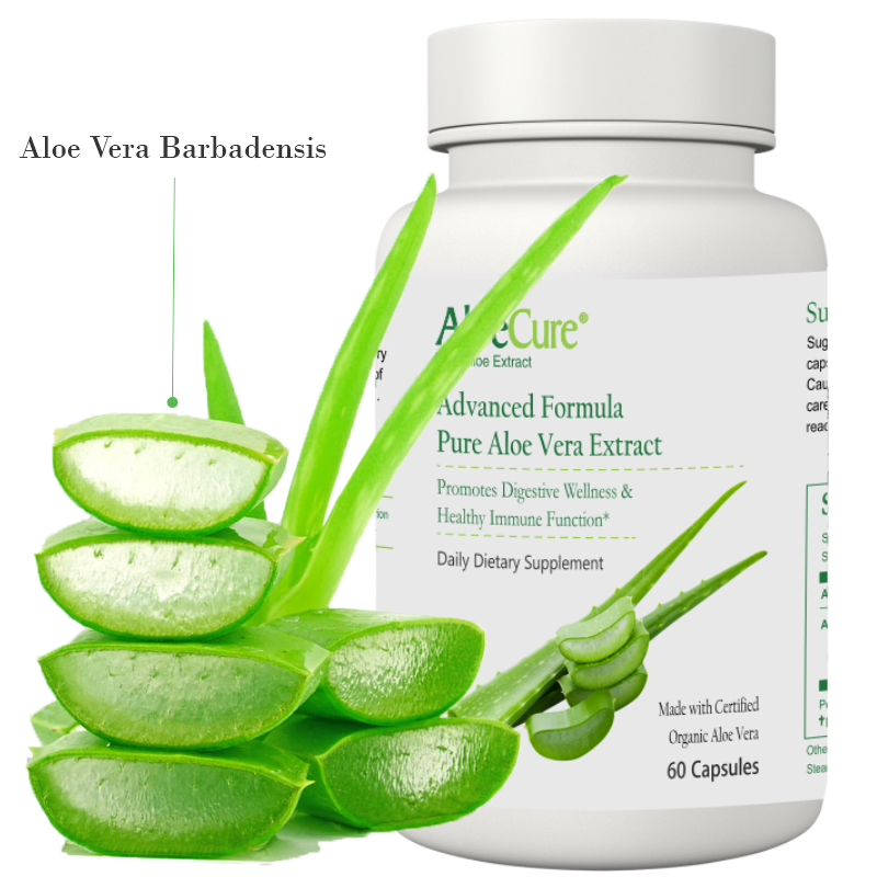 AloeCure Advanced Formula Aloe Capsules