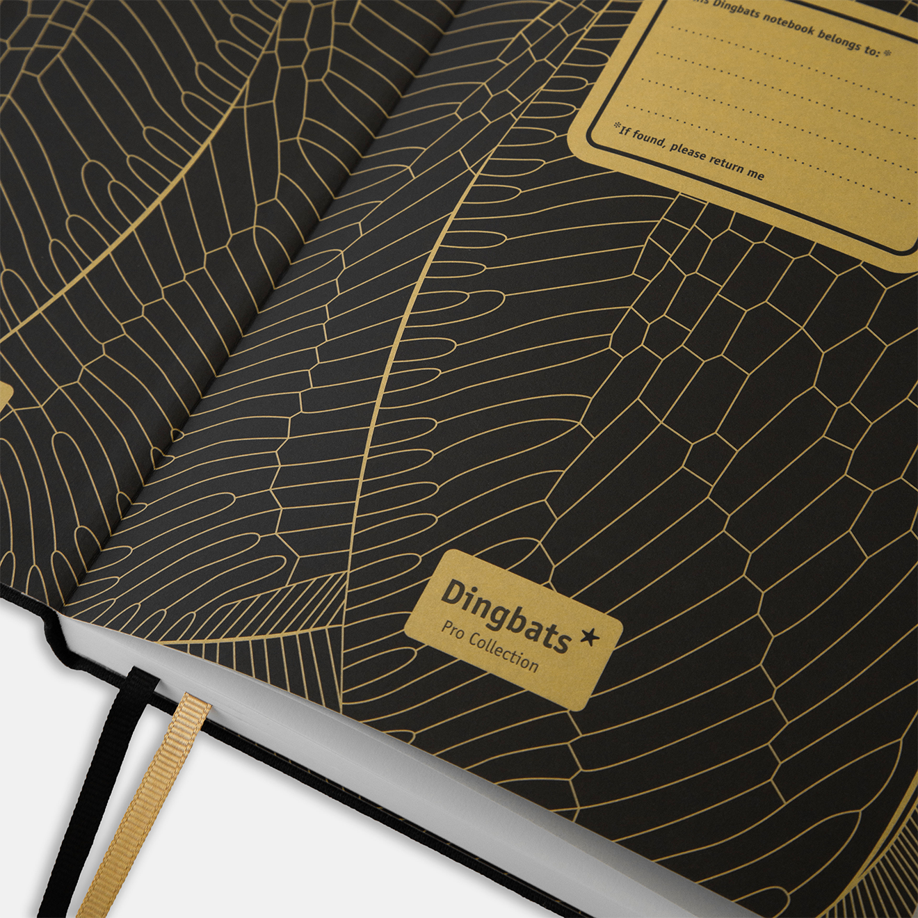 B5 Dotted Notebook | Hardcover, 160 gsm Paper