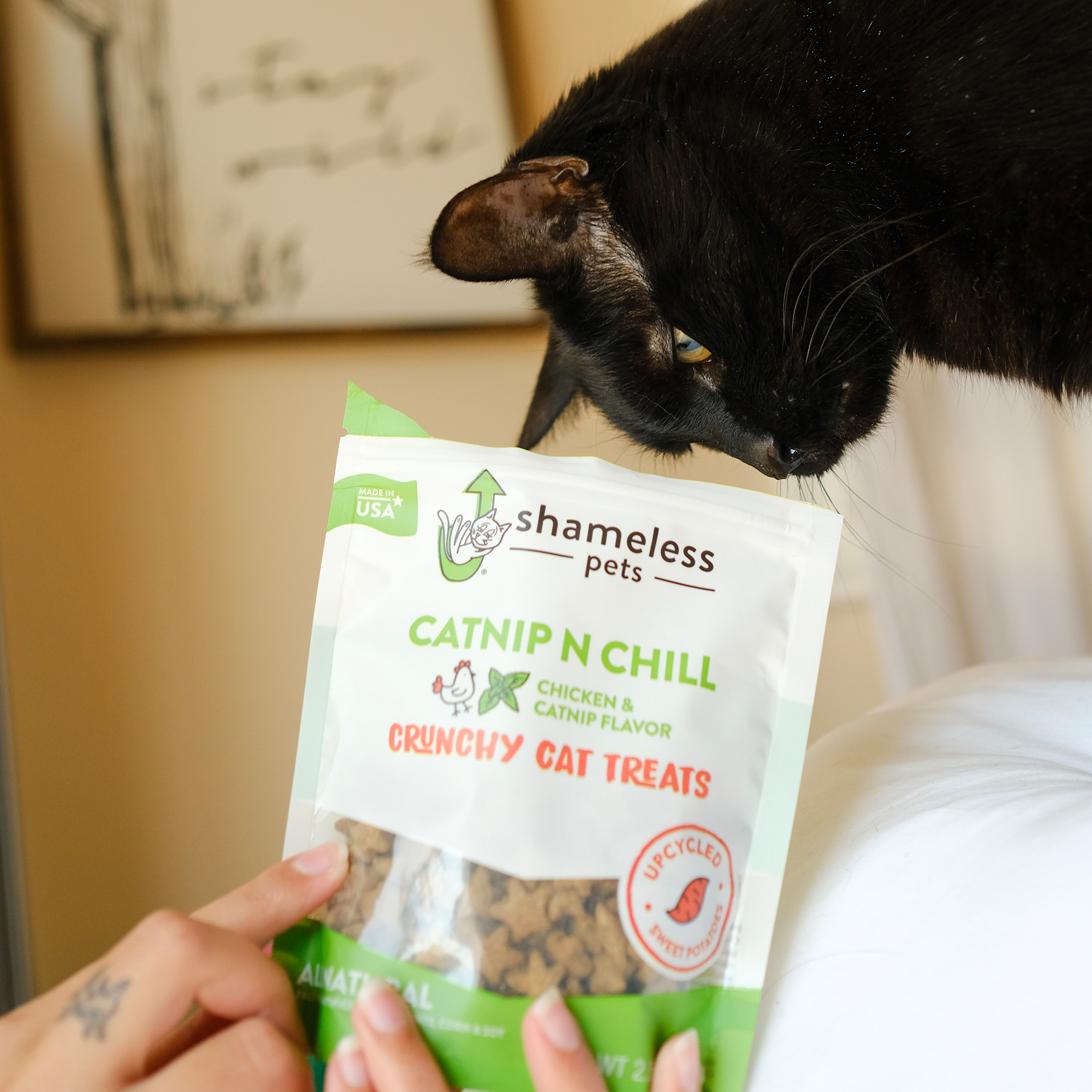 Catnip N Chill | 2 Pack