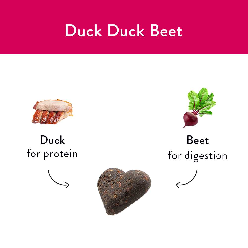 Duck, Duck, Beet Soft Baked Dog Treats