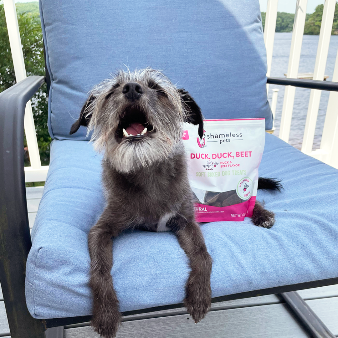 Duck, Duck, Beet Soft Baked Dog Treats