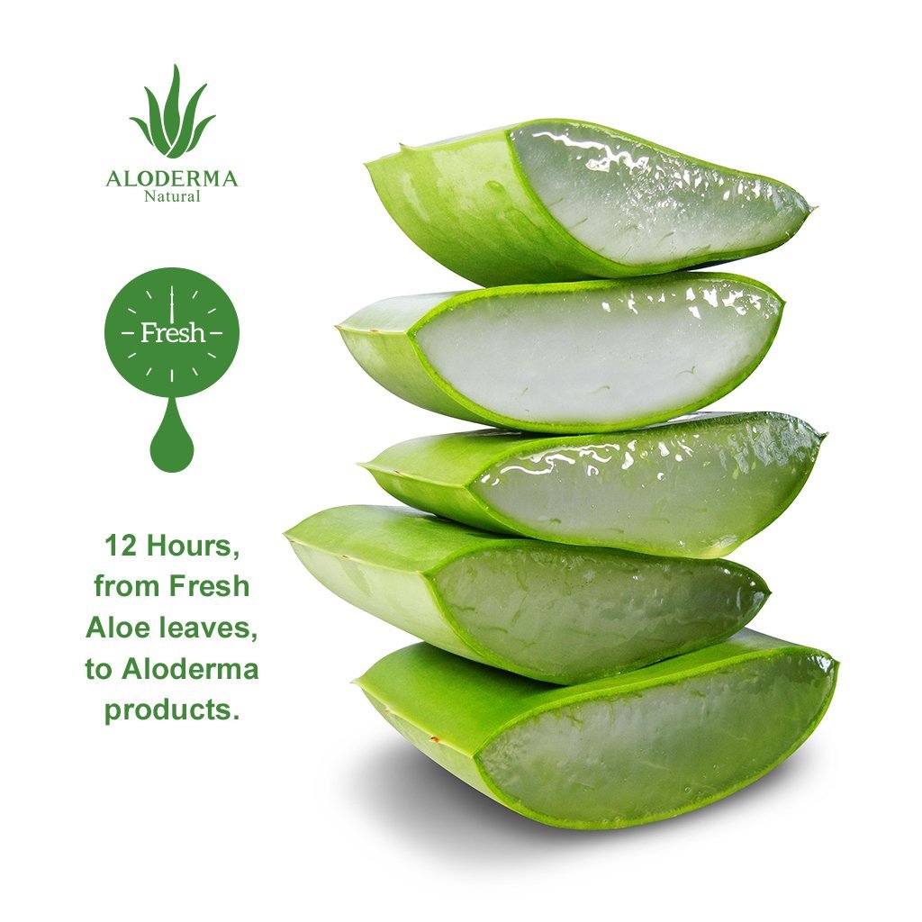 Face Wash | Gentle & Nourishing, 76% Organic Aloe Vera, 3.5oz