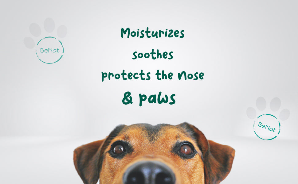 Pet Balm | 0.9 oz