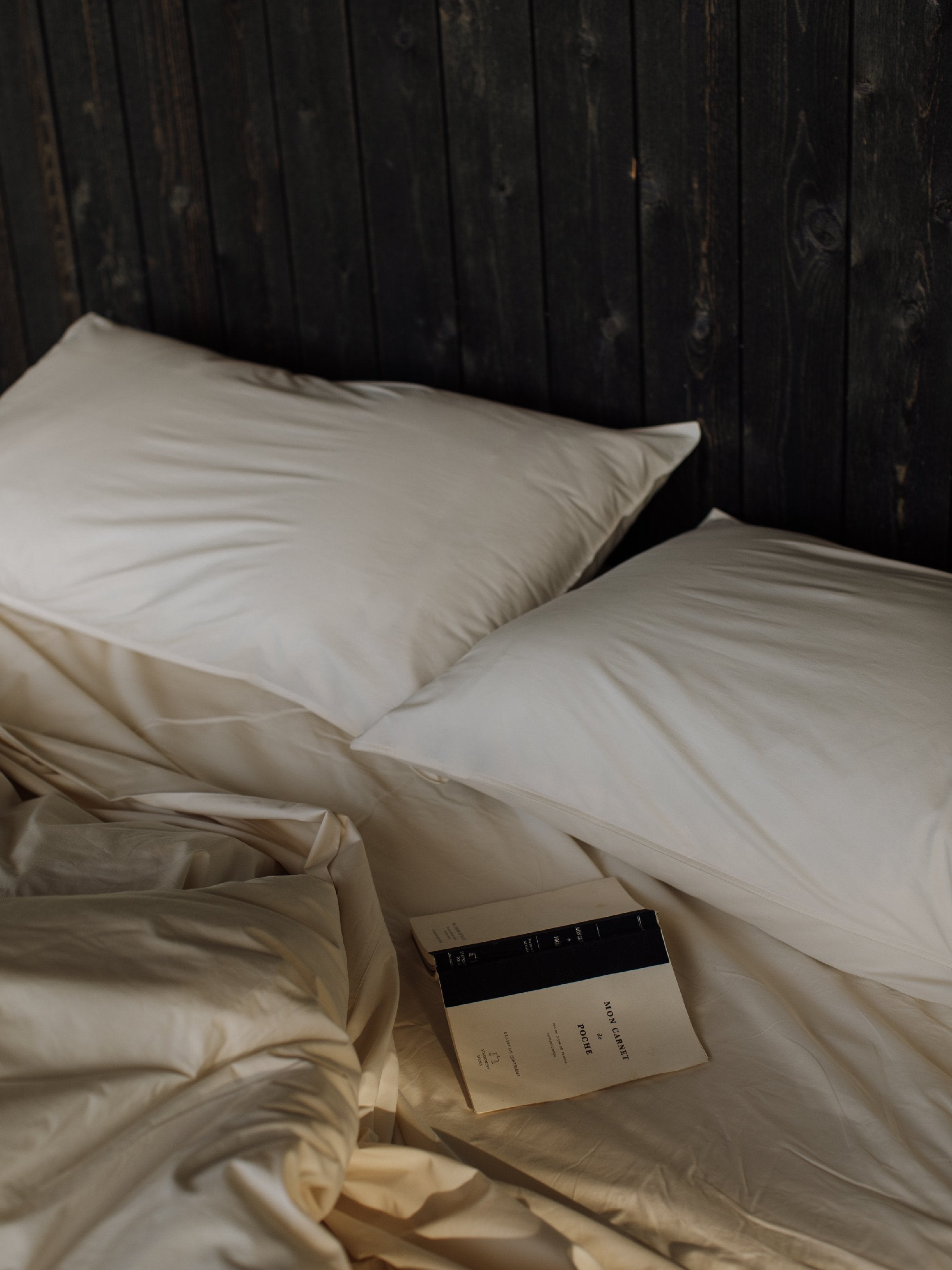 Organic Cotton Bed Sheet Set