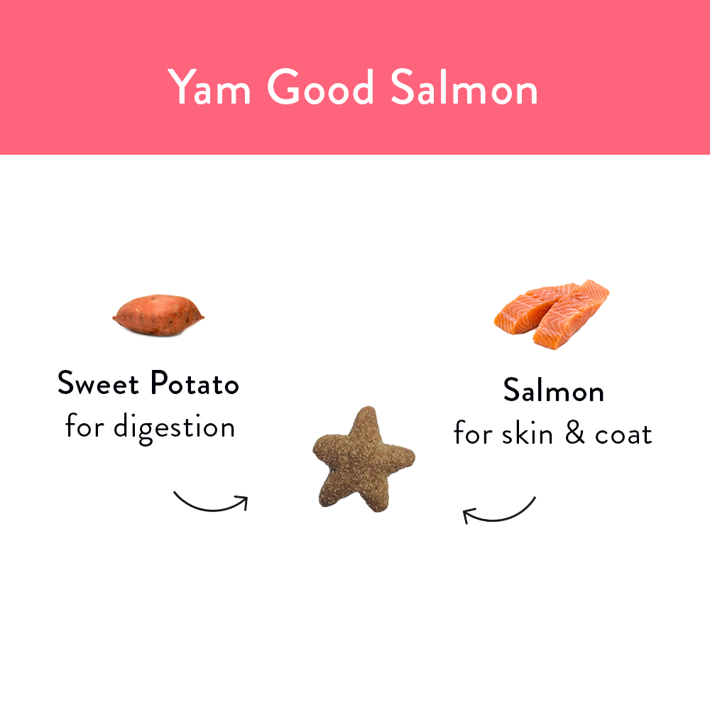 Yam Good Salmon - 2 Pack