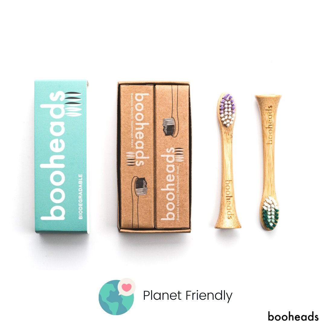 Bamboo Electric Toothbrush Heads | 2 Pieces, Purple & Green