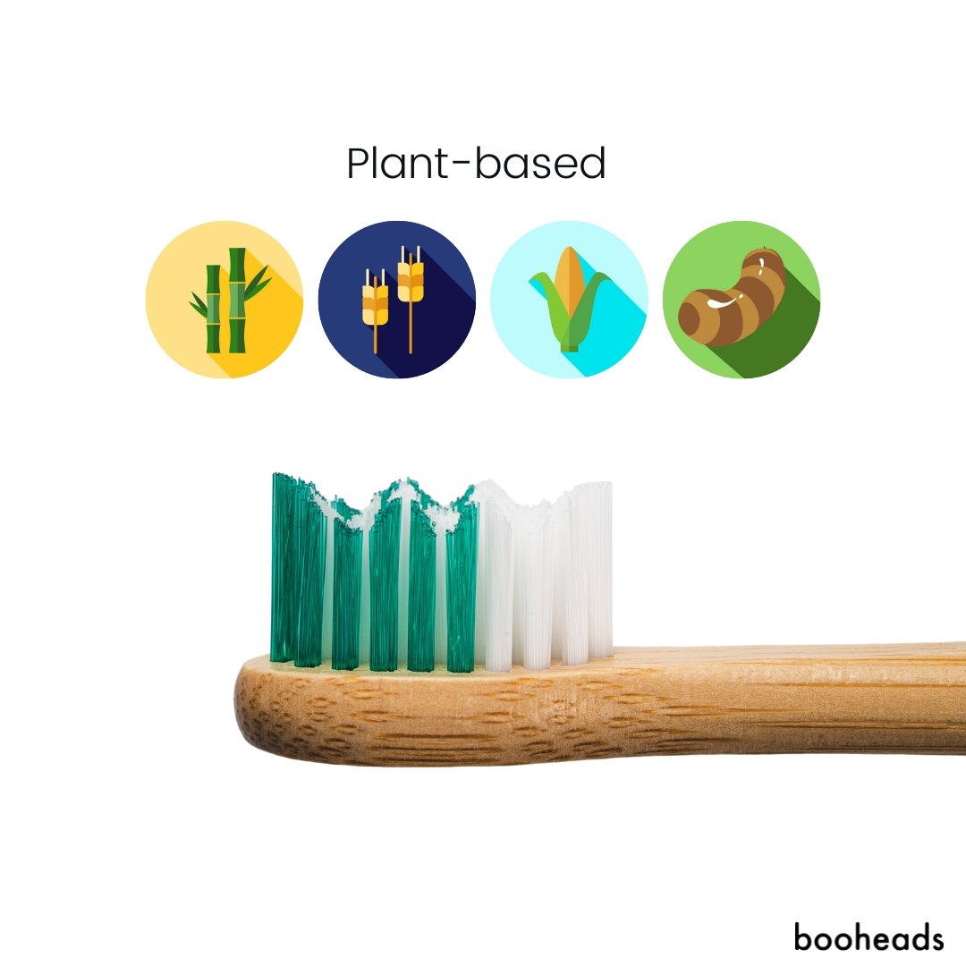 Bamboo Electric Toothbrush Heads | 2 Pieces, Purple & Green