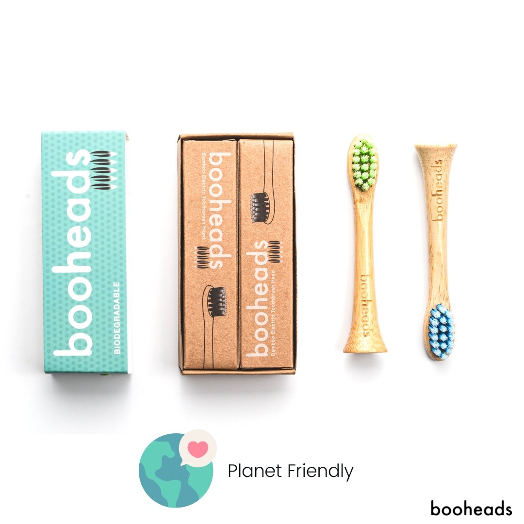 Bamboo Electric Toothbrush Heads | 2 Pieces, Green & Blue