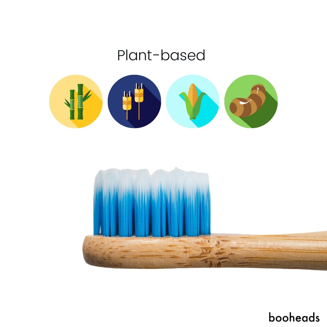 Bamboo Electric Toothbrush Heads | 2 Pieces, Green & Blue