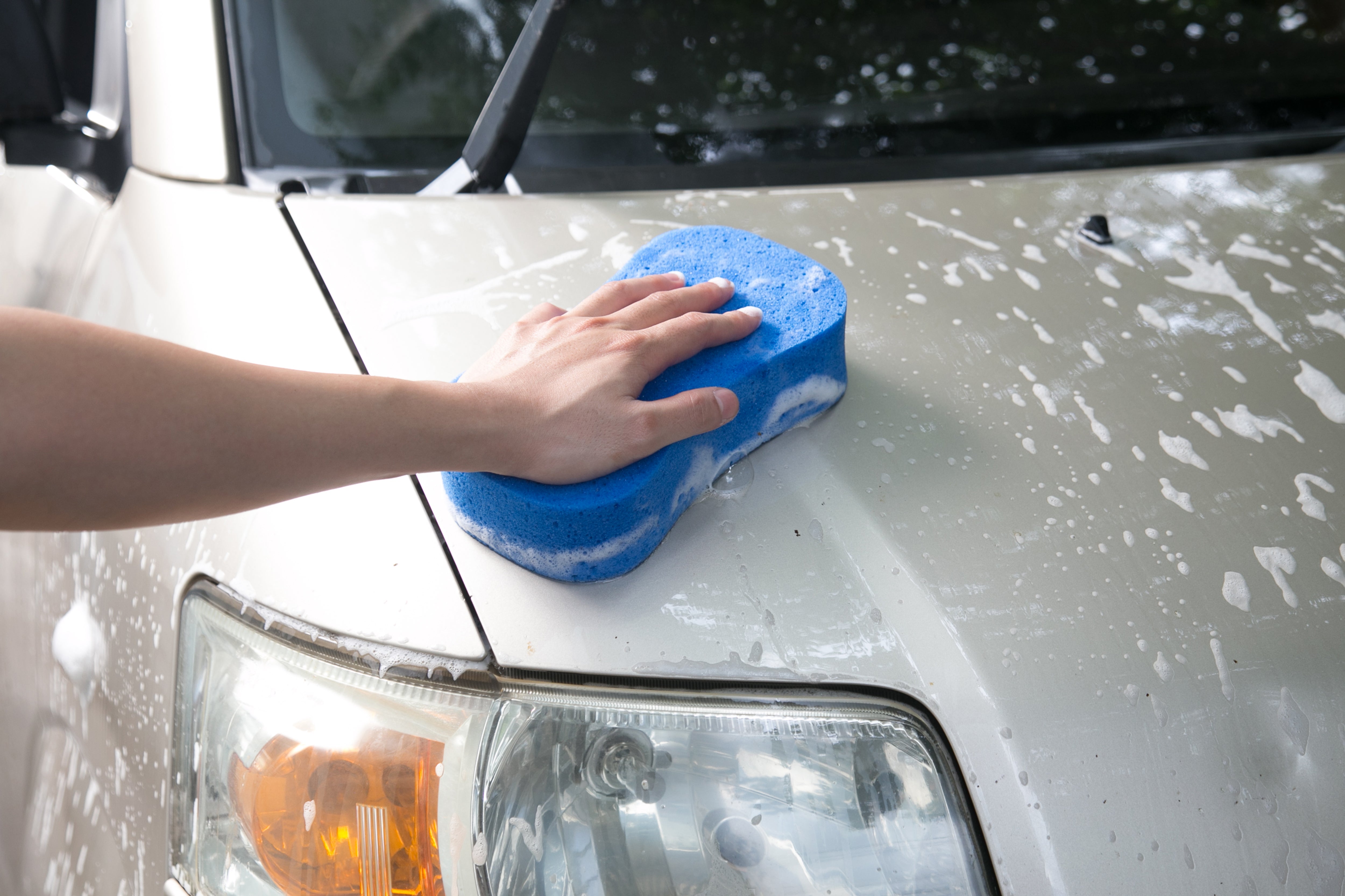 Clean Car Care Kit | Award-Winning , 8+ Pieces